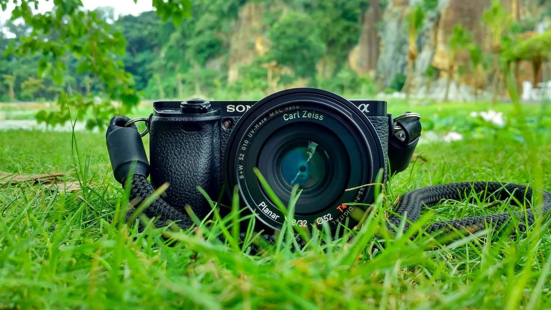 Professional photography